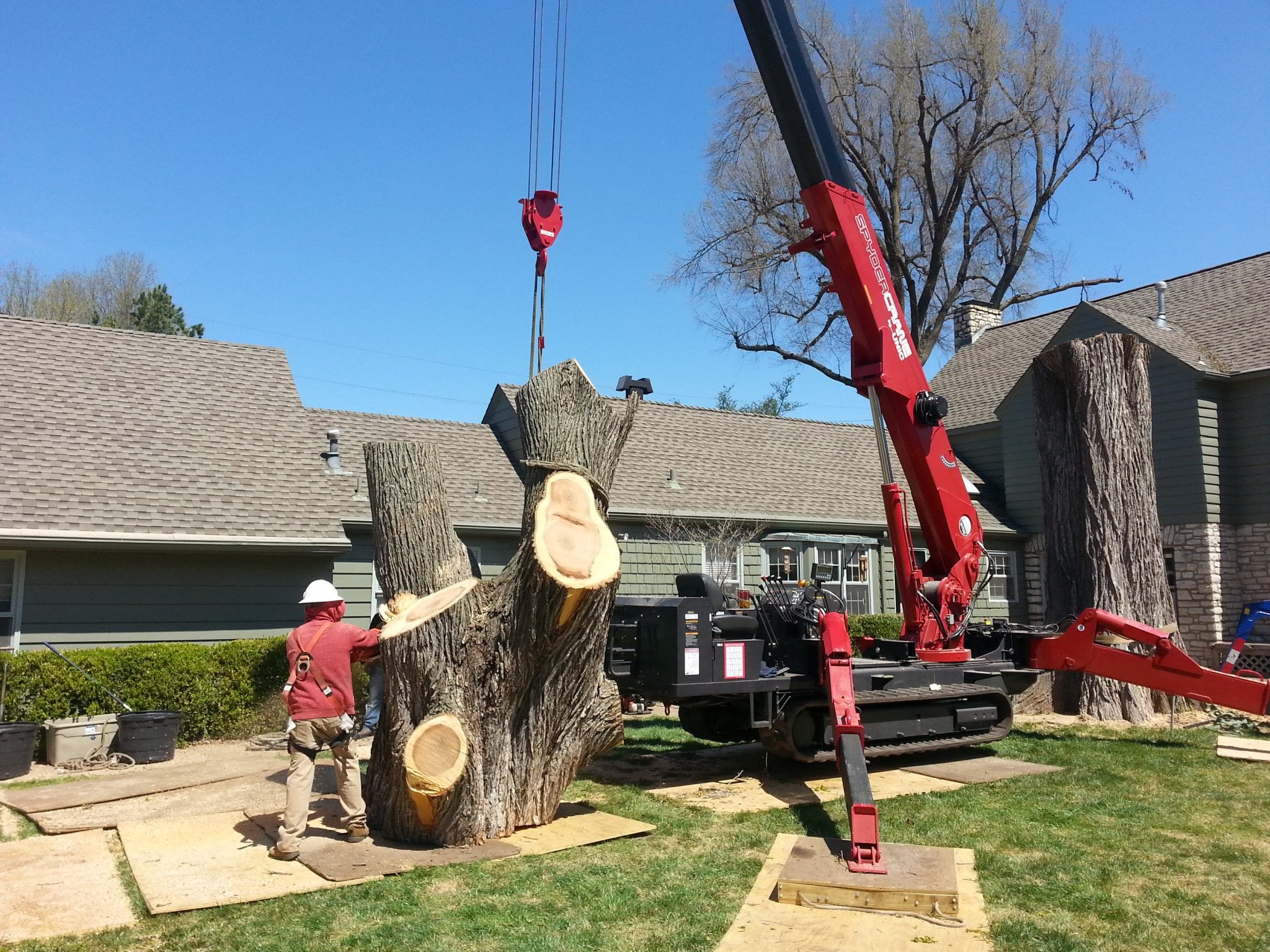 tree crane